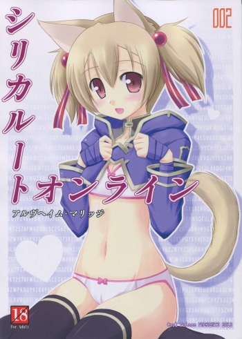 (SC58) [Cool Palace (Suzumiya Kazuki)] Silica Route Online 2 (Sword Art Online) cover