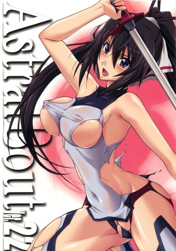 (C81) [STUDIO TRIUMPH (Mutou Keiji)] Astral Bout Ver.22 (Infinite Stratos) cover