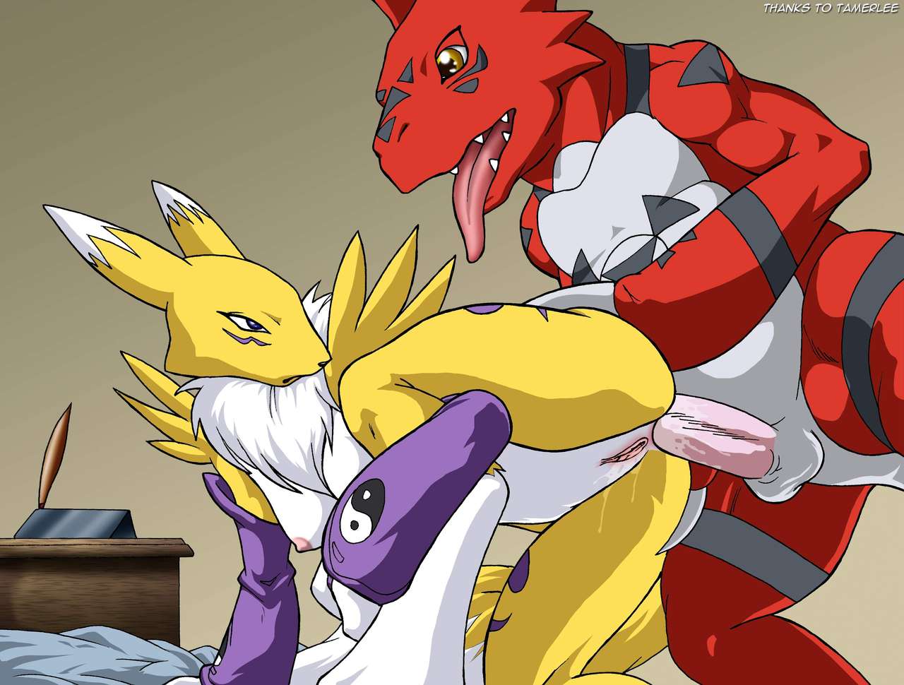 Renamon Collection page 1 full