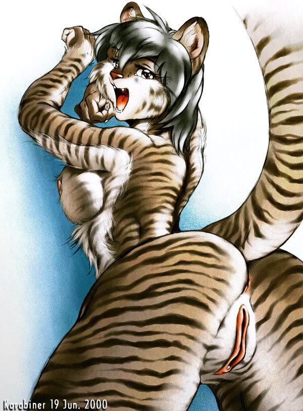 Karabiner - full color page 3 full