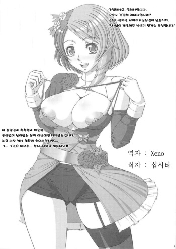(C76) [Angel Ravishment. (jet)] First RAGE (Tekken) [Korean] [Incomplete] cover
