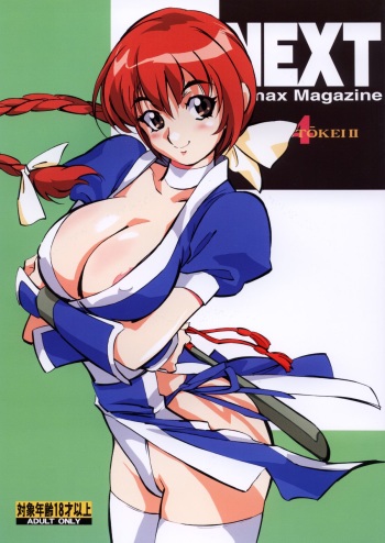 [NEXT (Various)] NEXT Climax Magazine 4 - Kakutoukei II (Various) [Digital] cover