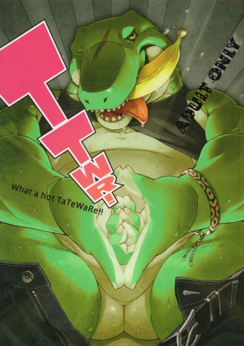 (C83) [Dragon Heart (Various)] TTWR! cover
