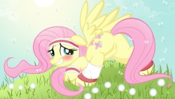 My Little Pony - Fluttershy