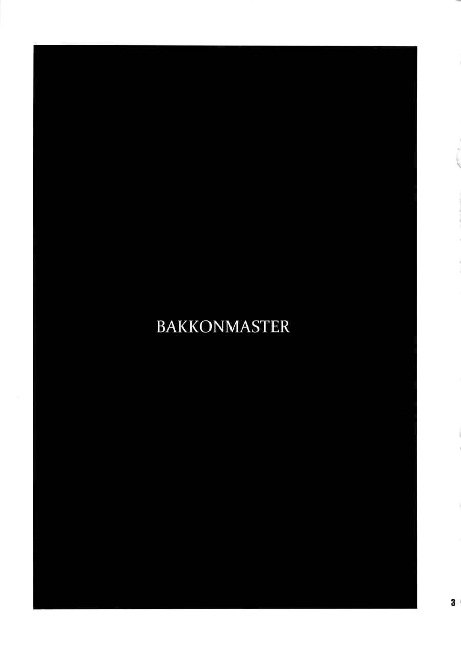 BakkonMaster page 3 full