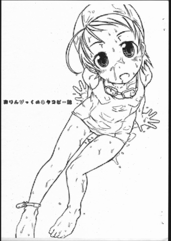(C66) [shirando, Shoryutei, Studio Nama, ZETTAI SHOUJO] orinpikkuno neta copyshi cover