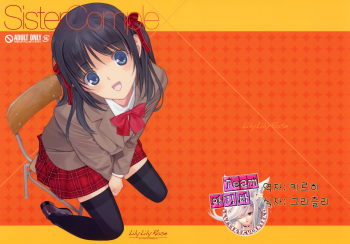 (C81) [Lily Lily Rose (Mibu Natsuki)] Sister Complex (korean) cover
