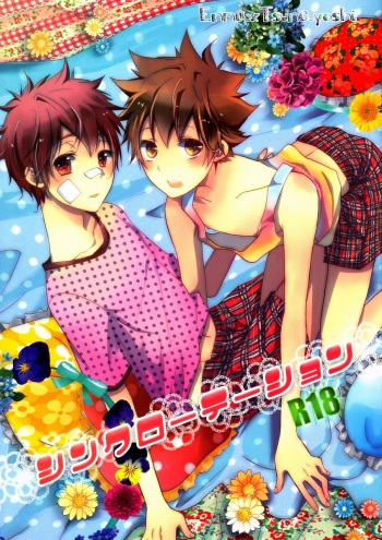 (C81) [Alpenreise (Ayano Ena)] Synchrotation (Katekyo Hitman REBORN!) cover
