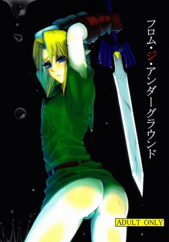 (C83) [Tricot (Stella.Ing)] From the Underground (The Legend Of Zelda) cover