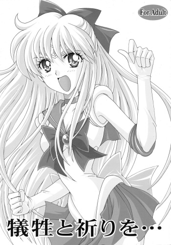 (C73) [Kotori Jimusho (Sakura Bunchou)] Gisei to Inori wo... (Sailor Moon) cover