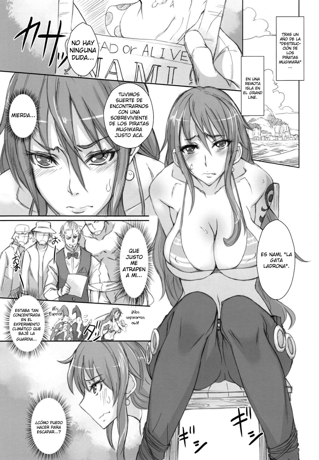 Grandline Chronicle 2 - Rainyuu page 2 full