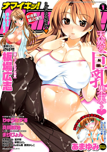 Namaiki! 2011-01 [Digital] cover