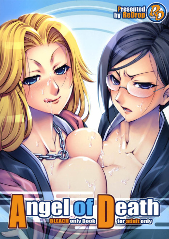 (C71) [ReDrop (Miyamoto Smoke, Otsumami)] Angel of Death (Bleach) [Spanish] cover