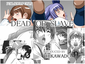 [Hikawadou (Hinokawa Jun)] Dead or Slave (Dead or Alive) cover