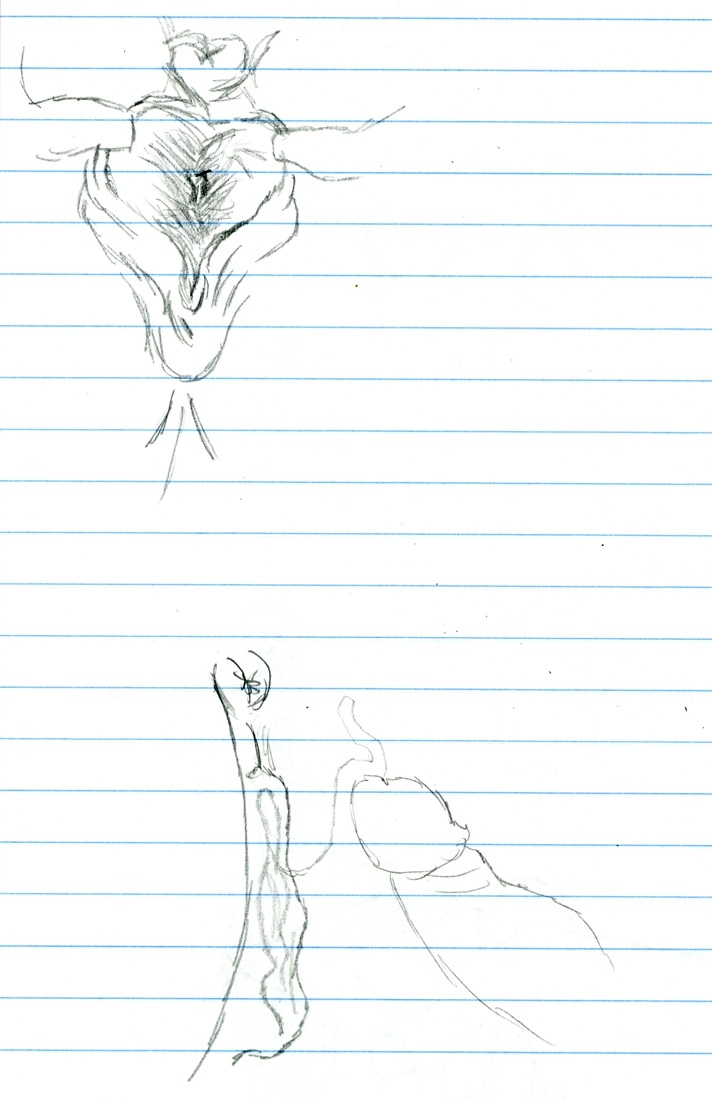 Sketchbooks #'s 1-3 page 11 full