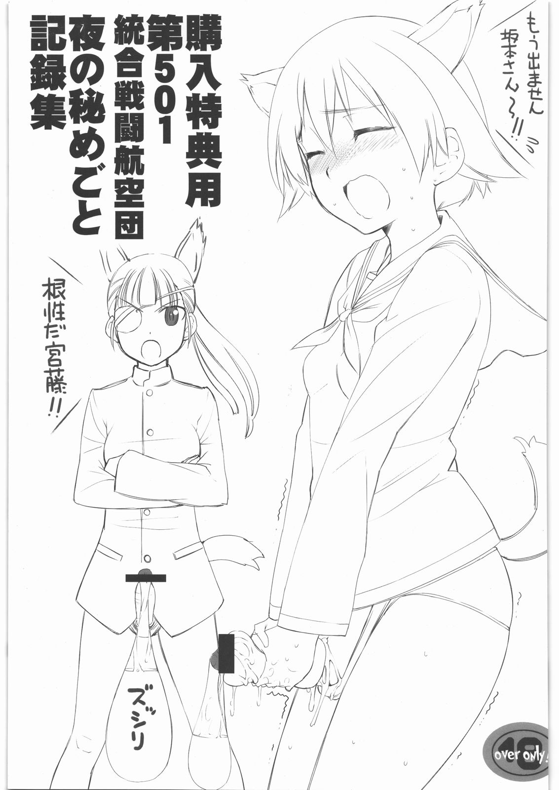 Kounyuu Tokutenyou Dai 501 Tougou Sentou Koukuudan Yoru no Himegoto Kirokushuu page 1 full