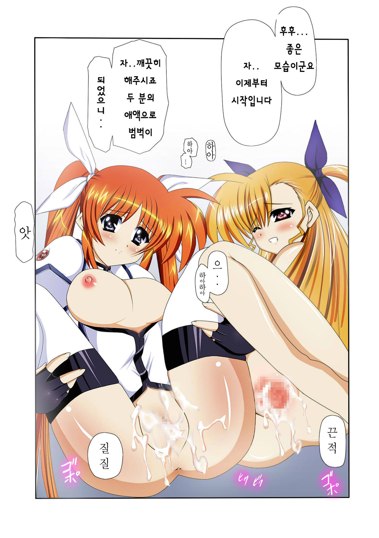 Mahou Shoujo Lyrical na Echii Hon 8 page 11 full