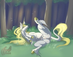 Frisky Ferals Gallery