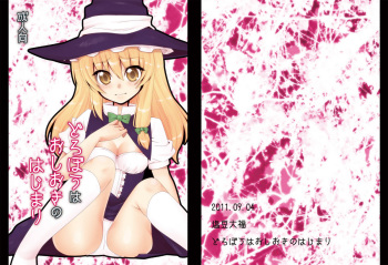 [塩豆大福] どろぼうはおしおきのはじまり (東方) cover