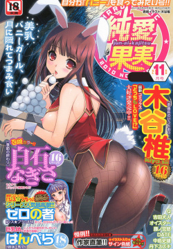 Jun-ai Kajitsu 2010-11 Vol.31