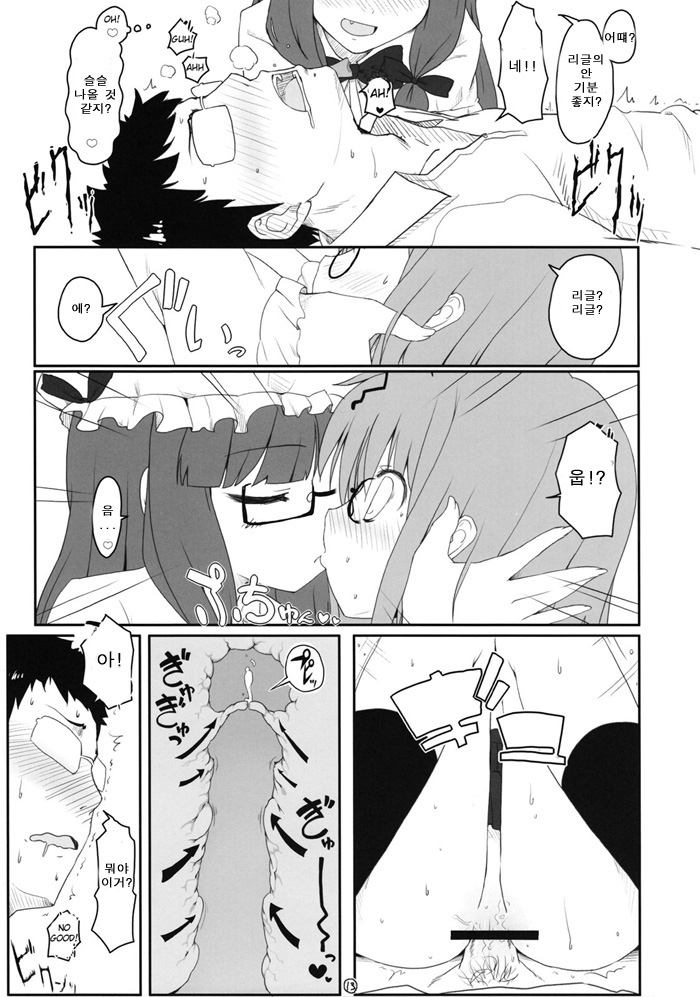 Touhou Megane page 12 full