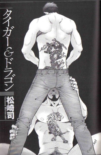 [Matsuzaki Tsukasa] The Tiger And The Dragon cover