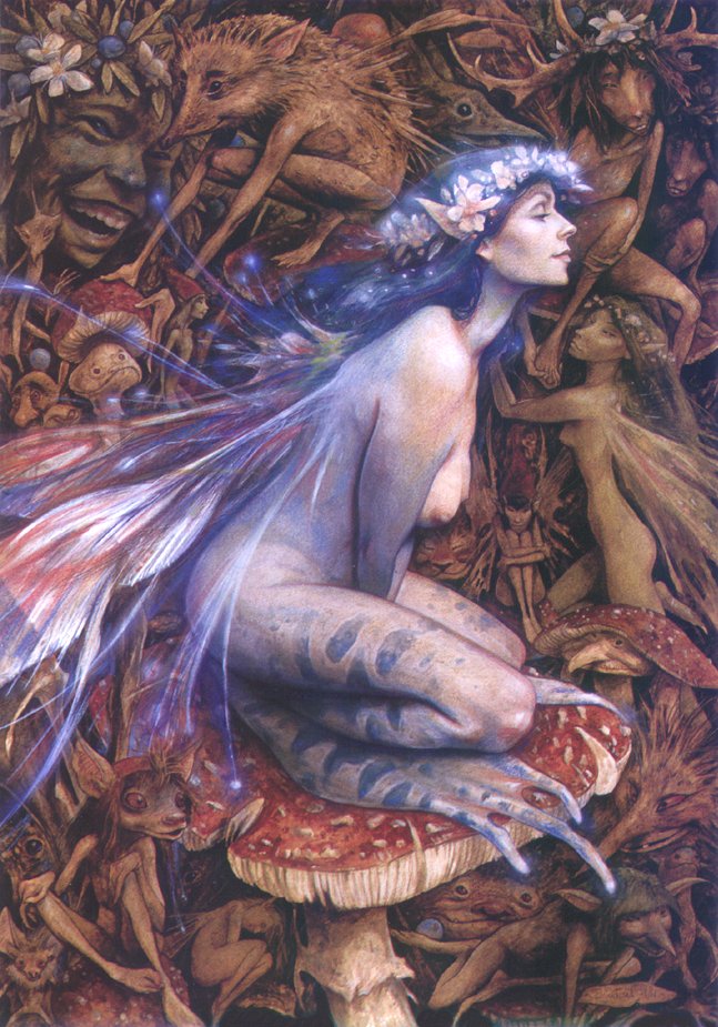 EROTIC ART COLLECTOR 0063 BRIAN FROUD page 11 full