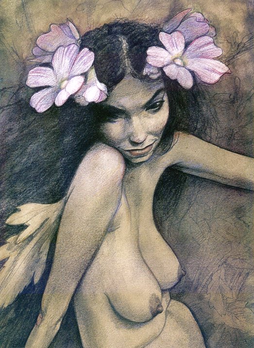 EROTIC ART COLLECTOR 0063 BRIAN FROUD page 2 full
