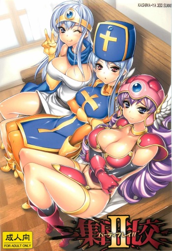 (C82) [Kashiwa-ya (Hiyo Hiyo)] Shuudan Rankou Party Play!!-II (Dragon Quest III) cover