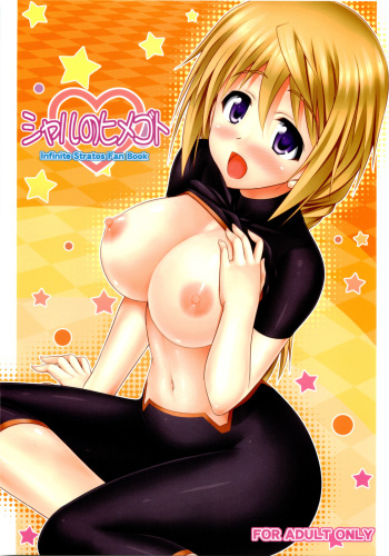 (C80) [Turning Point (Uehiro)] Char no Himegoto (Infinite Stratos) [English] cover