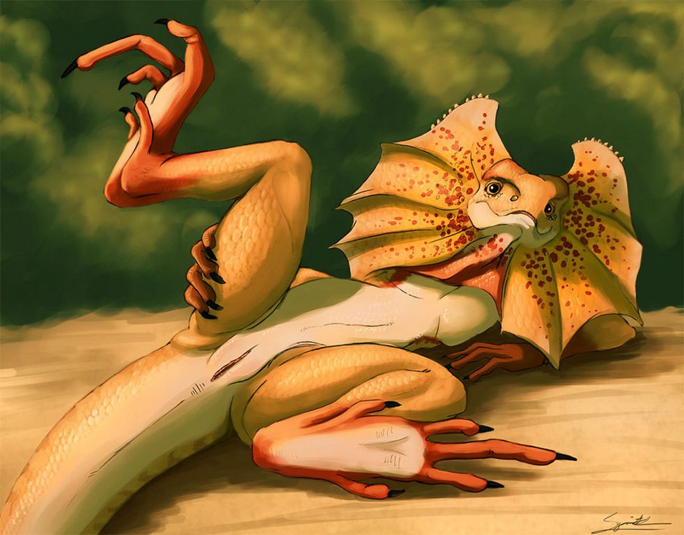 Art of Syrinoth page 7 full