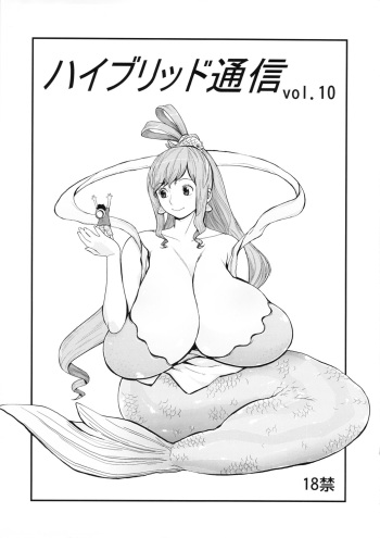 (COMIC1☆6) [Hybrid Jimushitsu (Muronaga Char siu)] Hybrid Tsuushin Vol.10 (One Piece, Queen's Blade) cover