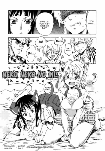 [Kurione-sha (YU-RI)] Neko Neko no Mi! (Yokujou Pirates ~Wanpi Soushuuhen~) (One Piece) [English] =Ero Manga Girls & maipantsu= [Digital] cover