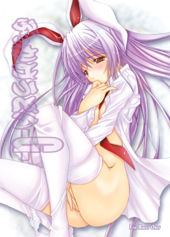 (C74) [Donkin Darnuts (Take Toshiaki)] Bukkake Udon -G- (Touhou Project) [Digital] cover