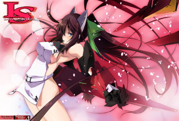 (SC50) [RYU-SEKI-DO (Nagare Hyo-go)] LS Lovers Striker (IS <Infinite Stratos>) [English] cover