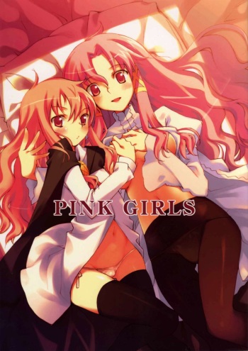 (C72) [Hannama (Inato Serere,Soine)] PINK GIRLS (Zero no Tsukaima) cover