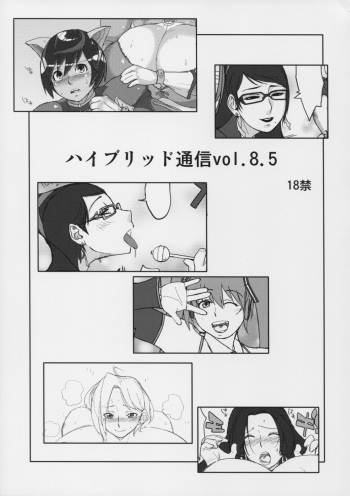 [Hybrid Jimushitsu (Muronaga Char siu)] Hybrid Tsuushin Vol.8.5 cover