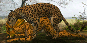 furry gifs page 9 full