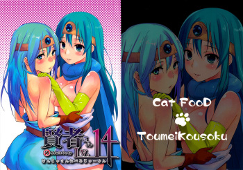 (C82) [Cat Food & Toumei Kousaku (NaPaTa & Chika)] Kenja-san Level 14 | Miss Sage Level 14 (Dragon Quest III) [English] [4dawgz + FUKE] cover