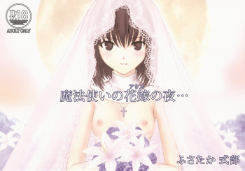 (C83) [Kokoro Shidoushitsu (Fusataka Sikibu)] Mahoutsukai no Alice no Yoru (Mahou Tsukai no Yoru) cover