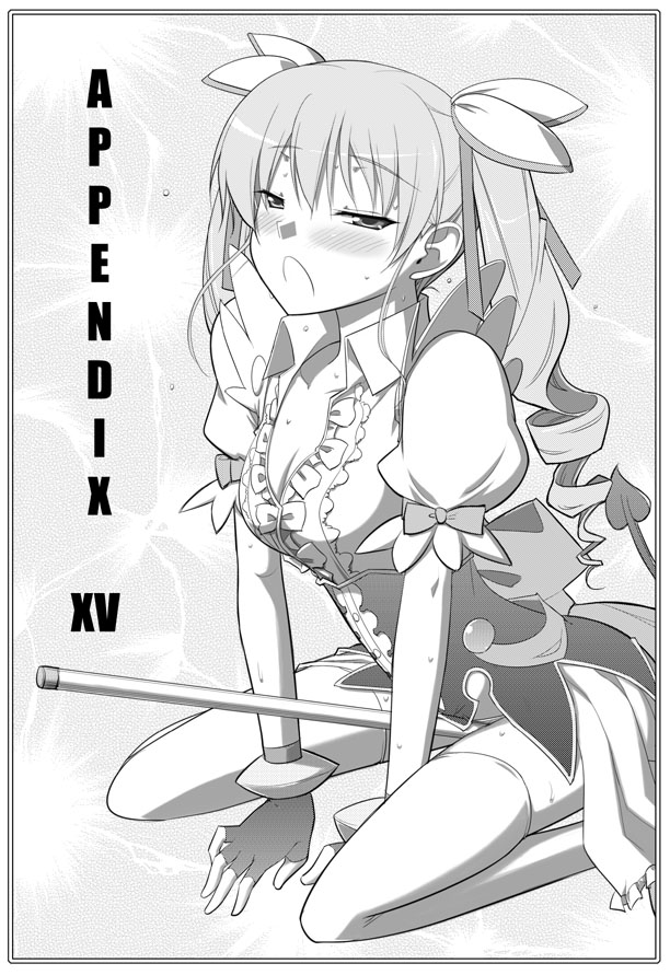 APPENDIX XV page 1 full