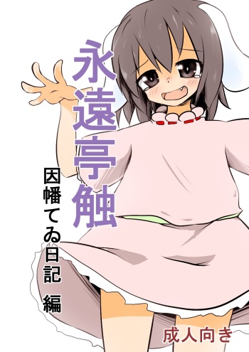 [Keishiki] ﾀﾀﾞ同人第4弾完成!!　「永遠亭触　因幡てゐ日記　編」 (Touhou Project) cover