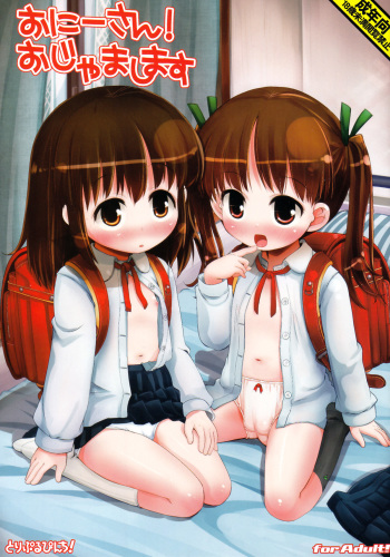 (COMIC1☆6) [Triple Pinch! (Hikami Izuto)] Onii-san! Ojamashimasu cover