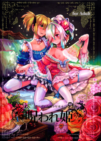 (C78) [dicca (Suemitsu Dicca)] Korizuni Josou Shounen Hon 4 Cursed Prince [English] =SW= cover