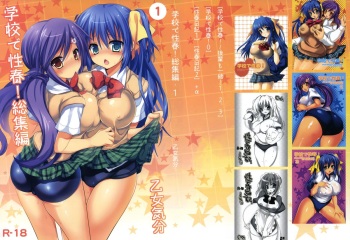 (C82) [Otomekibun (Sansyoku Amido.)] Gakkou de Seishun! Soushuuhen 1 cover