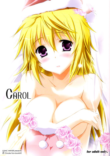 (C81) [SONIC WINTER (Tsukishima Kai)] Carol (Infinite Stratos) [English] cover