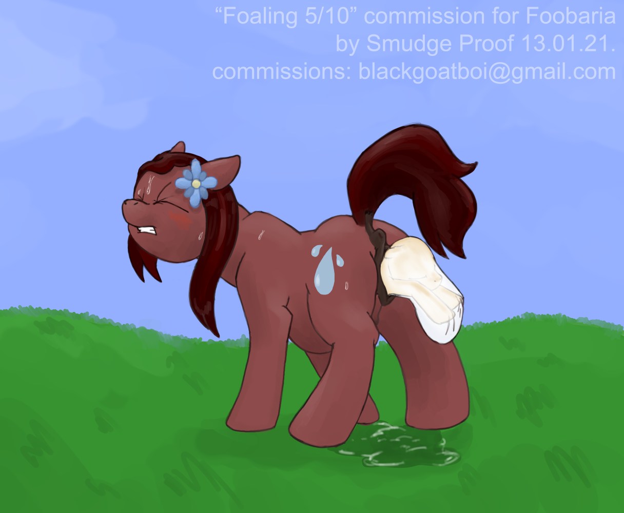 foaling page 5 full