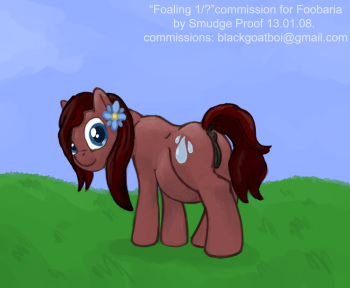 foaling cover