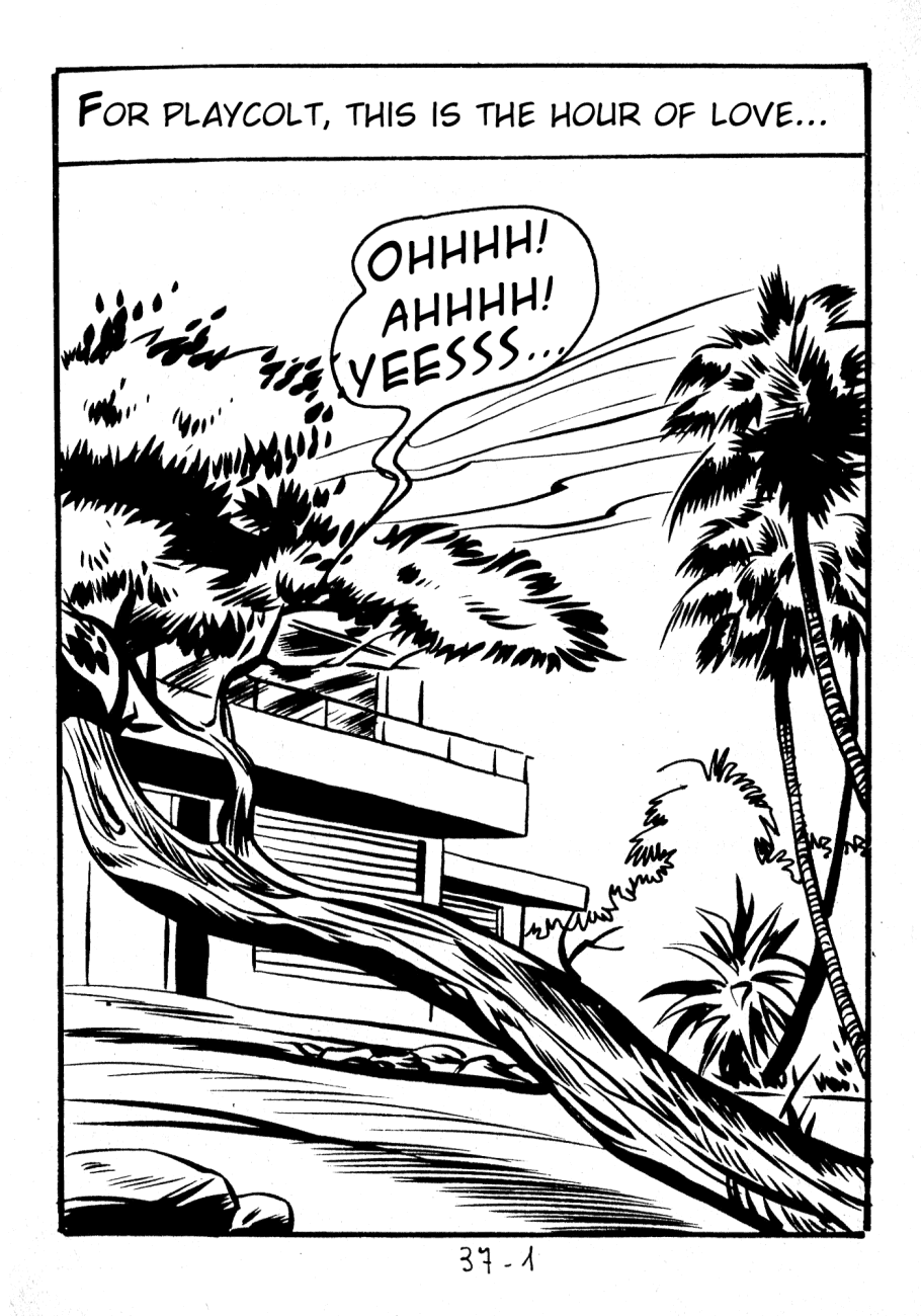 Playcolt #11, Series III - A Disneyland Ride La Morte page 3 full