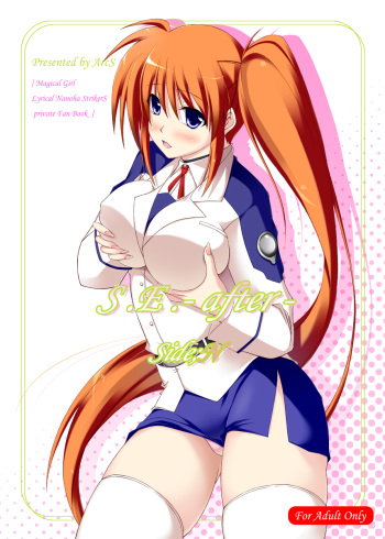 [ArcS (Sakura Yuu)] S.E.-after- Side;N (Magical Girl Lyrical Nanoha) [Digital] cover